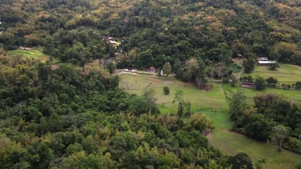 Aerial Drone Forward Moving Shot Cottages Surrounded Lush Green Vegetation — ストック動画