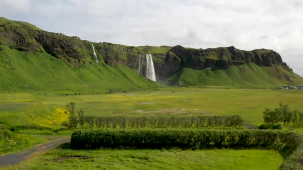 Seljalandsfoss Waterfalls Iceland Drone Video Bushes Stable — Stock videók