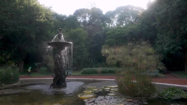 Decorative Fountain Buenos Aires Botanical Garden Sunny Afternoon Static View — Vídeo de Stock