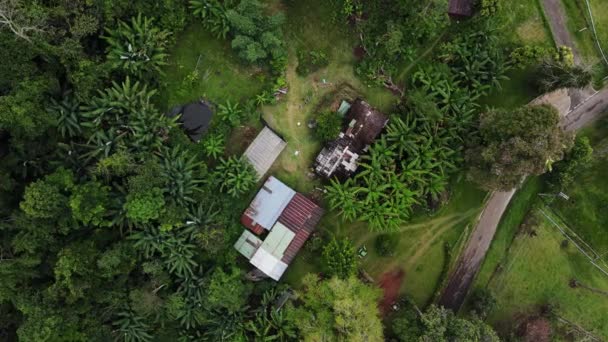 Aerial Bird Eye Shot Small Huts Surrounded Lush Green Vegetation — Vídeo de Stock