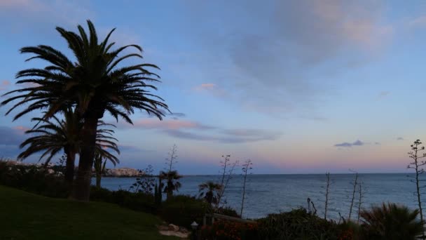 Wide Shot Mediterranean Coast Palm Trees Spanish Estepona Sunset — Vídeos de Stock