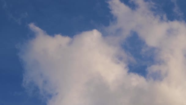 Белые Пушистые Облака Голубом Небе Снимок Низким Углом — стоковое видео