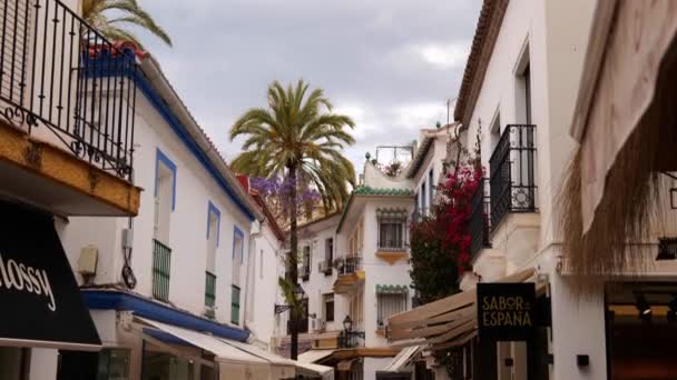 Nice Tilting Shot Picturesque Street Palm Trees Flowers Showing Shopping — Stockvideo