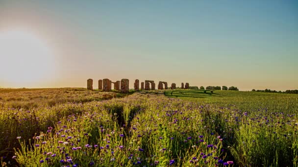 日落时分美丽的麦田 田野中央有一座巨大的石屋 傍晚时分前往拉脱维亚斯迈尔泰恩巨石阵的游客 — 图库视频影像