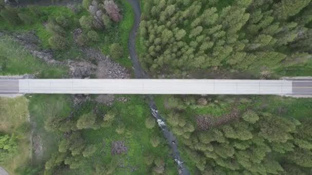 Drone Looks Birds Eye View Bridge Drone Moving Downwards Bridge — Stock video