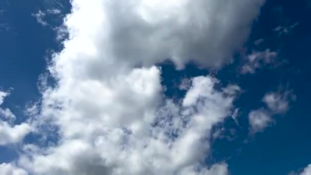 Motion Timelapse White Clouds Blue Sky Sunny Day Low Angle — Stock Video