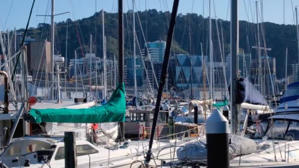 ニュージーランドのウェリントンの首都とウォーターフロントのオフィス街のブロックの建物のマリーナに係留帆ボートマスト Aotearoa — ストック動画