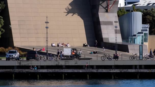 Oamenii Plimbă Bucură Malul Mării Capitalei Papa Weekend Într Wellington — Videoclip de stoc