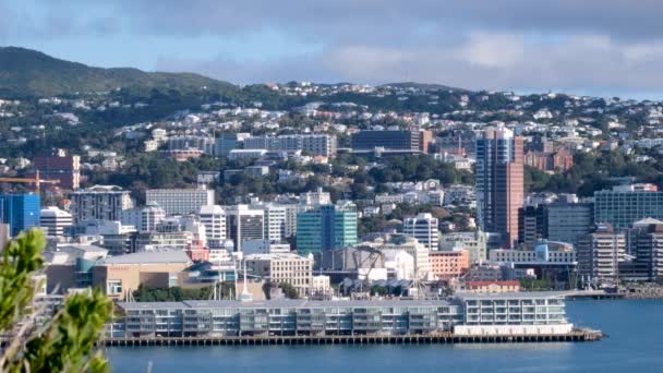City Skyline Papa Museum Residential Business Buildings Harbour Capital Wellington — Video