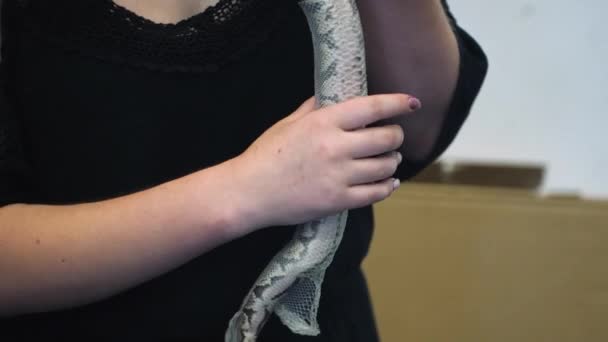 Women Holds Non Venomous Carpet Python Snake Sheds Its Skin — Stock Video