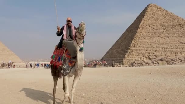 Man Camel Pyramid Giza Complex Cairo Egypt — стокове відео