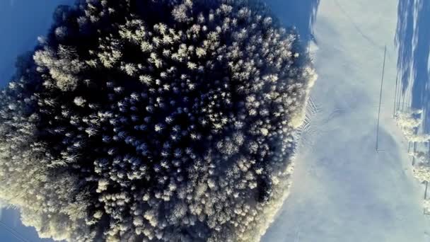 Top Drone Footage Forest Snowy Winter Treetop Close — Stockvideo