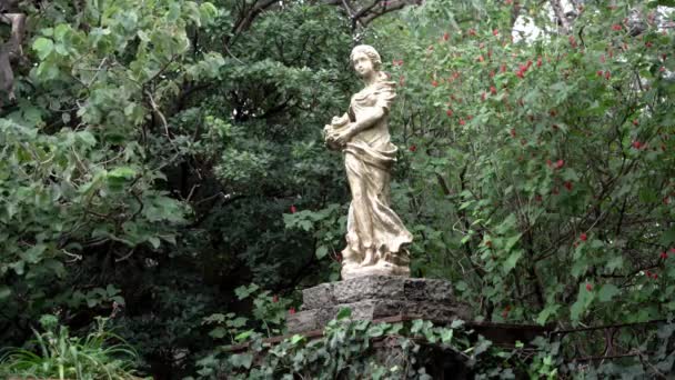 Sculpture Woman Middle Forest — Stok video