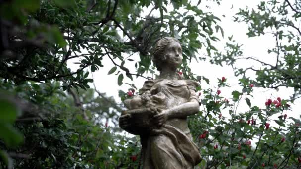 Sculpture Woman Garden — 图库视频影像
