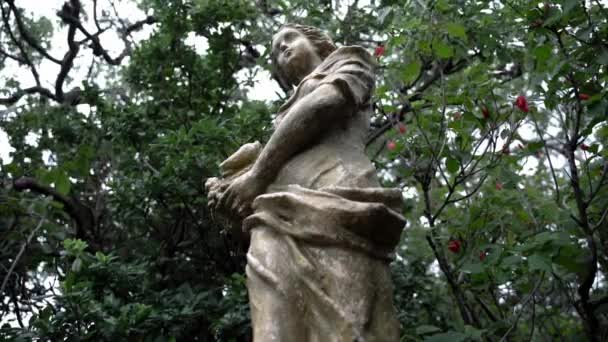 Statue Woman Trees — Stockvideo