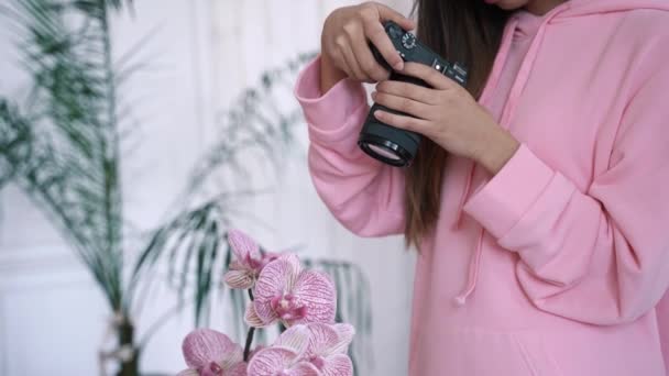 Frau Pinkfarbener Kleidung Macht Fotos Von Rosa Blumen — Stockvideo