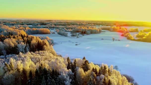 Aerial Shot Winter Landscape Scene Trees Snowy Field Sunset — Stock video