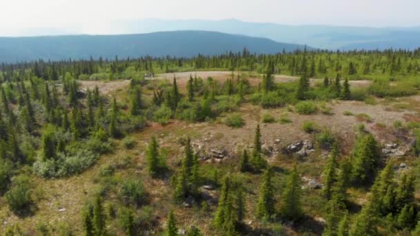 Drone Video Wickersham Dome Hiking Trail White Mountains Alaska Sunny — Stockvideo