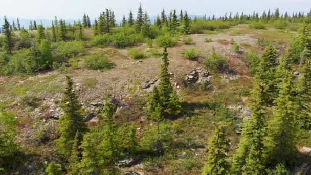 Drone Video Rocky Cliffs Wickersham Dome White Mountains Alaska Sunny — Stockvideo