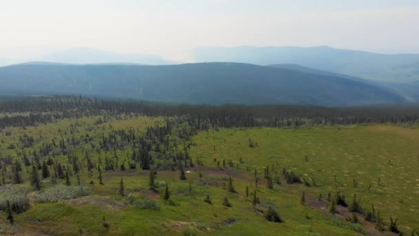 Drone Video Wickersham Dome Trail White Mountains Alaska Sunny Summer — ストック動画