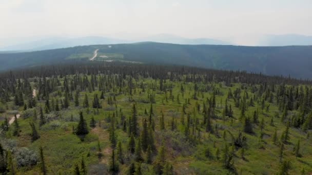 Drone Video Wickersham Dome Trail White Mountains Alaska Sunny Summer — 图库视频影像