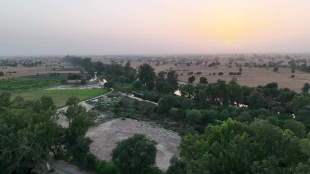 Aerial Footage Pakistan Lush Green Lal Suhanra National Park — Vídeo de Stock