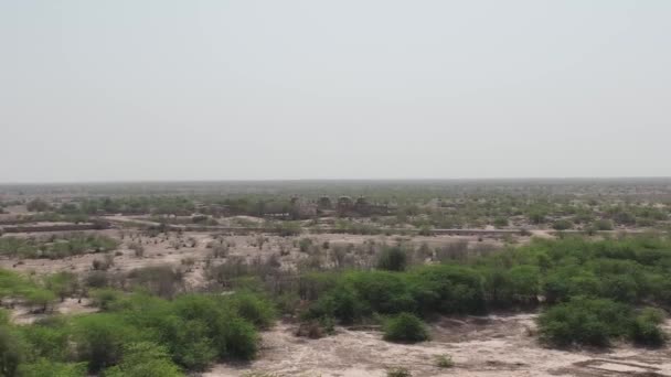 Aerial Drone Footage Derawar Fortress Cholistan Desert — Stock video