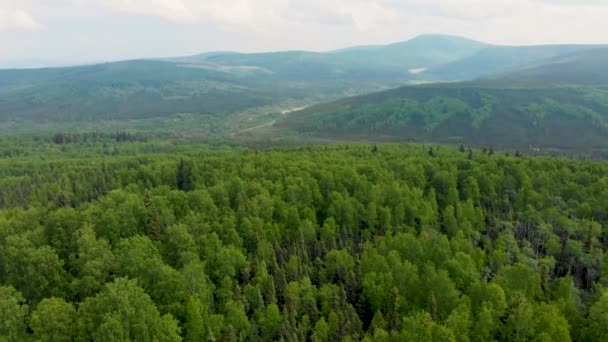 Беспилотное Видео Белых Гор Около Фокса Аляска Солнечный Летний День — стоковое видео