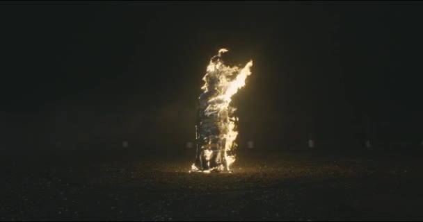 Burning Man Burning Witch Stake — Video Stock