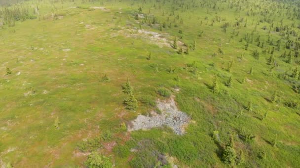 Drone Video Wickersham Dome Trail White Mountains Alaska Sunny Summer — Wideo stockowe