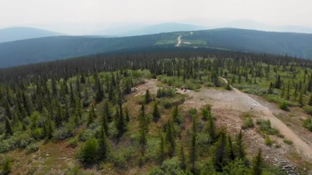 Drone Video Wickersham Dome Hiking Trail White Mountains Alaska Sunny — Stok video