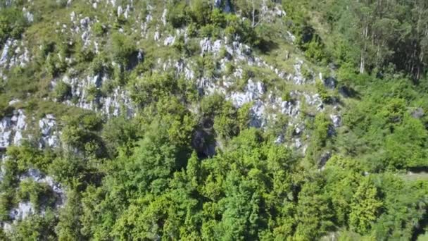 Aerial Zoom Out Revealing Rocky Mountain Cliff Landscape Green Trees — Vídeos de Stock