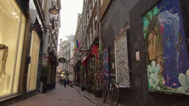 Lidé Procházky Uličce Street Art Amsterdam Holandsko Statický Výstřel — Stock video