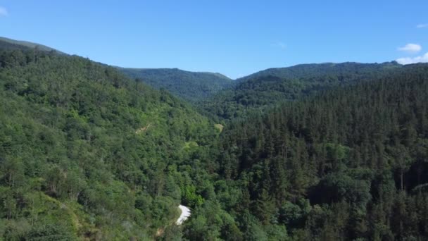 Green Mountain Forest Landscape Sunny Summer Day Blue Sky Aerial — Stockvideo
