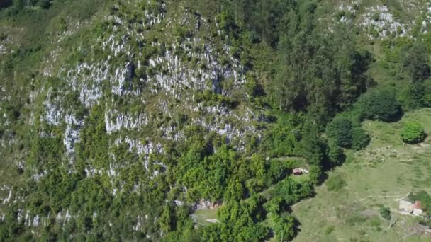 Aerial Top Zoom Green Trees Foliage White Rocky Cliff Landscape — Video
