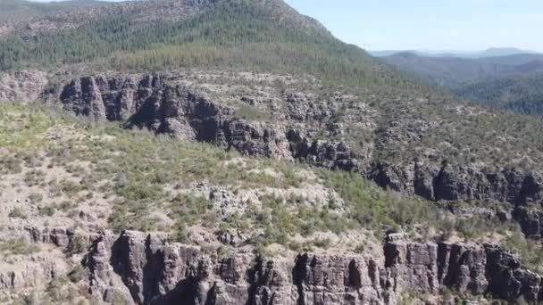Arizona Drone Video Desert Green Mountains Cactus Water Creek — Stockvideo