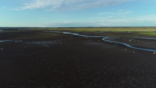 Voo Flamingos Numa Enseada Fantasma Pro — Vídeo de Stock