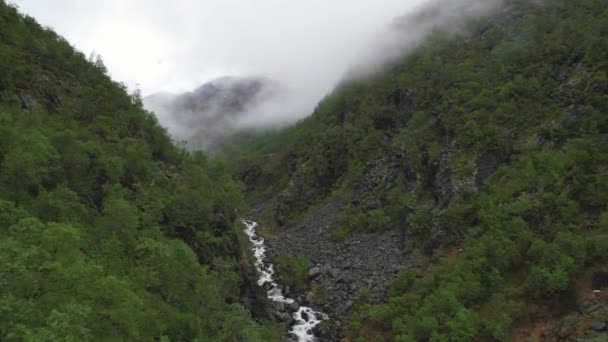 Aerial Flying Green Ravine Mist Background Hardangervidda National Park Eidfjord — Stockvideo