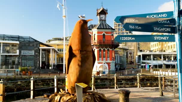 Giant Penguin Art Installation Waterfront Cape Town — Stockvideo
