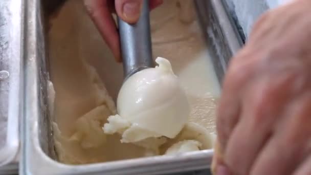 Close Woman Hands Scooping Vanilla Vegan Ice Cream Ball Placing — Stok Video