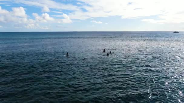 Static Shot Surfers Sitting Boards Waiting Waves — Stock video