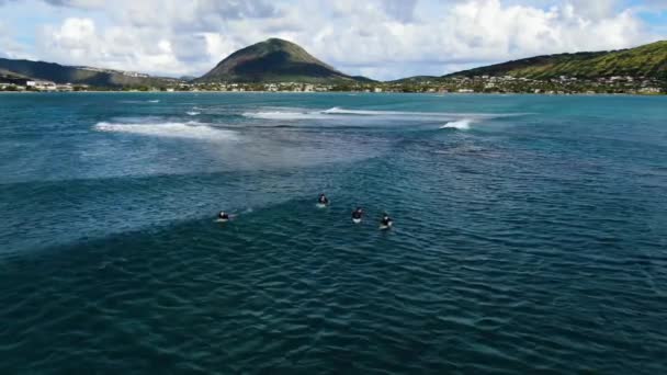 Close Aerial Footage Four Male Asian Hawaiian Surfers Wetsuits Sitting — 비디오