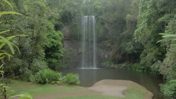 Picturesque Landscape Millaa Millaa Falls Rainforest North Queensland Australia Wide — Stock videók