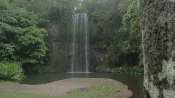 Millaa Millaa Falls Heritage Listed Plunge Waterfall Far North Queensland — ストック動画