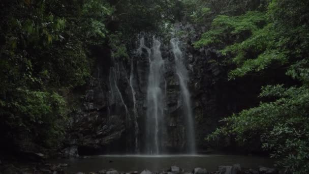 Ellinjaa Falls Water Flowing Vertical Cliff Qld Australia Wide — Stock videók