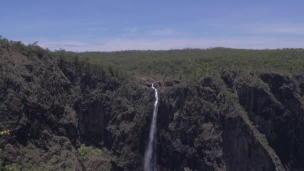 Wallaman Falls Summer Girringun National Park Qld Australia Tilt — Stockvideo