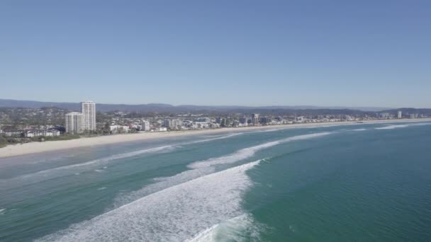 Aerial View Palm Beach Suburb Ocean Coastline Queensland Australia Drone — Stockvideo