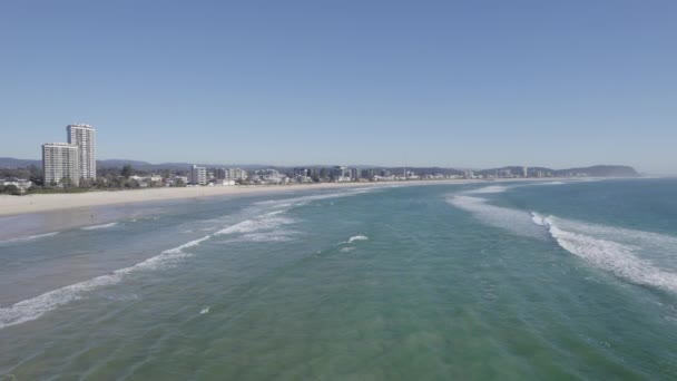 Scenic Seascape Palm Beach Gold Coast Queensland Australia Aerial Drone — Wideo stockowe