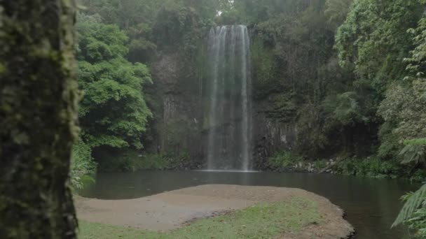 Millaa Millaa Falls Ponořit Vodopád Zeleným Lesem Regionu Tablelands Queensland — Stock video