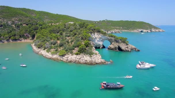 Antenne Der Küste Des Gargano Apulien Italien Sommer — Stockvideo